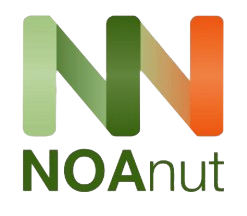 Noanut